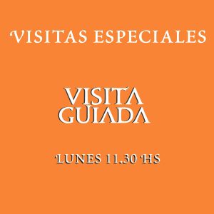 Lunes 27 de Julio - 11:30 hs.