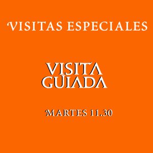 Martes 21 de Julio - 11:30 hs.