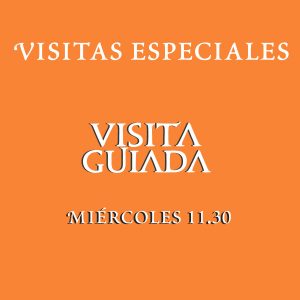 Miercoles 29 de Julio - 11:30 hs.