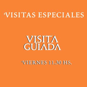 Viernes 31 de Julio - 11:30 hs.