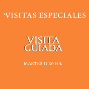 Martes 28 de Julio - 11:30 hs.