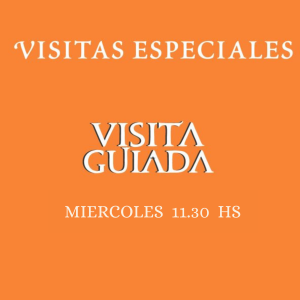 Miercoles 29 de Julio - 11:30 hs.